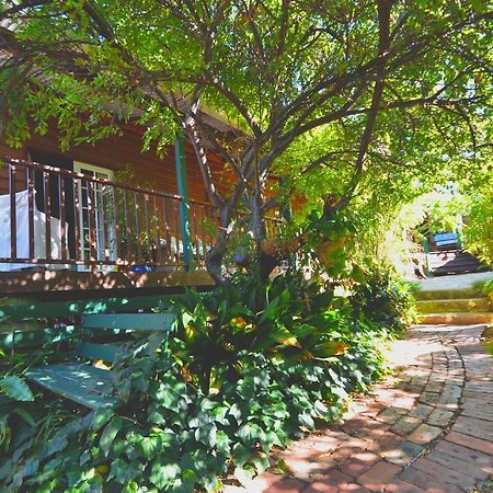 Rosemoore Bed & Breakfast Перт Экстерьер фото